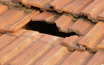 roof repair Gappah, Devon
